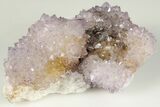Cactus Quartz (Amethyst) Crystal Cluster - South Africa #201736-1